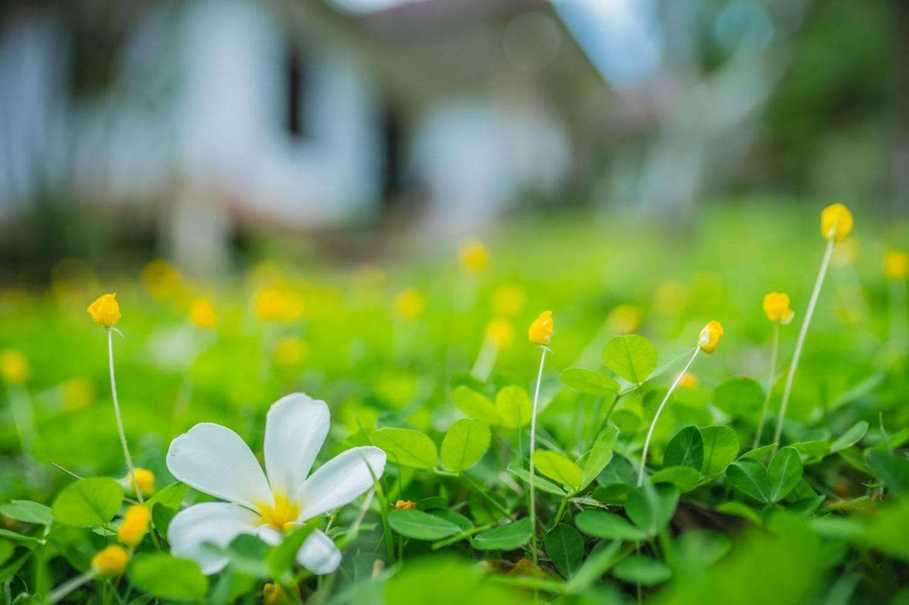 Bai Jai Garden Home Ao Nang Dış mekan fotoğraf